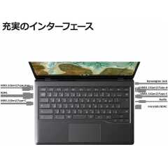 富士通 FMV Chromebook WM1/F3 笔记本电脑(Chrome OS/可触摸/14型/Core i3-1115G4/4GB/闪存 64GB/无Office)FCBWF3M13T 深铬